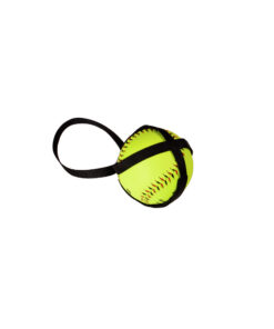 Softball Harness