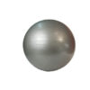 Stability Ball