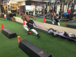 Metabolic Mobility Matrix with SuperFlex Movement Bands